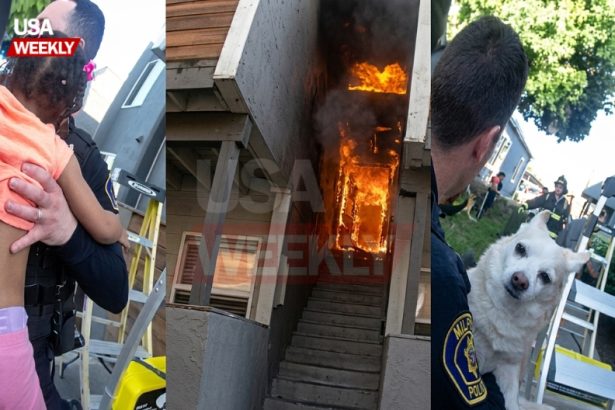 Police Catch 3-Year-Old Girl and Dog from Burning Apartment
