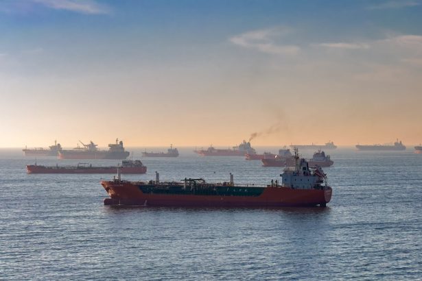 Cargo ships and oil tankers
