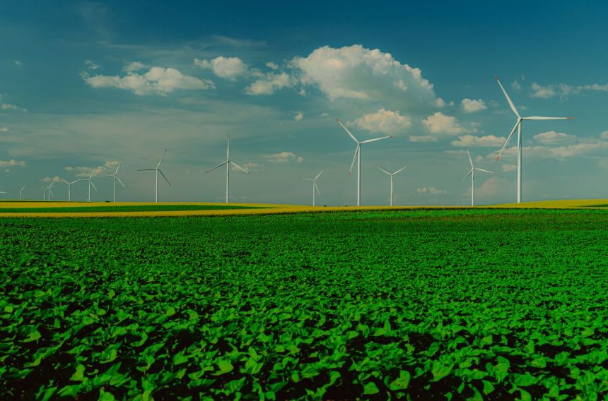 AB InBev Sustainability Shift