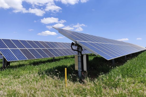 Perovskite Solar Cells