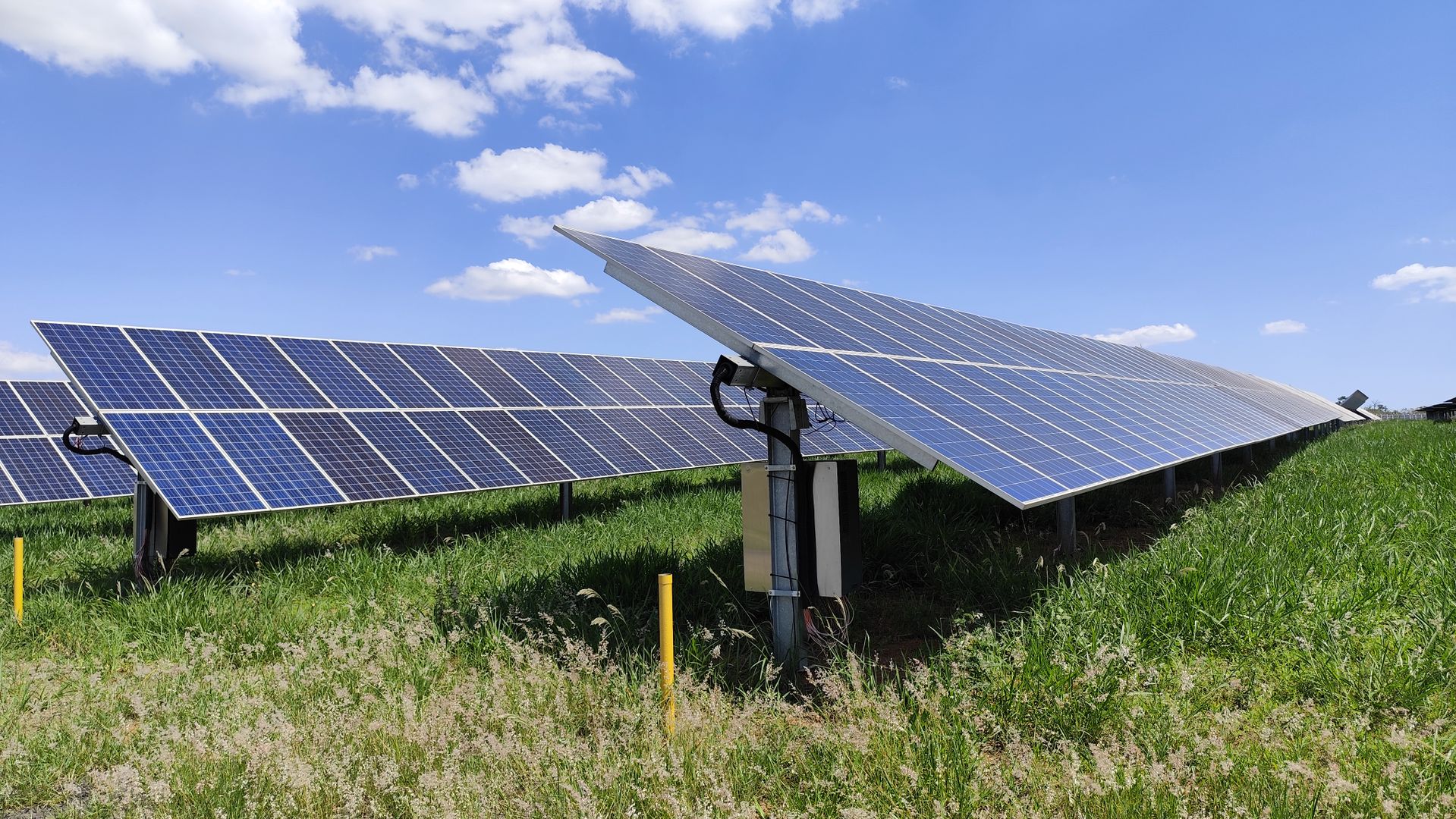 Perovskite Solar Cells